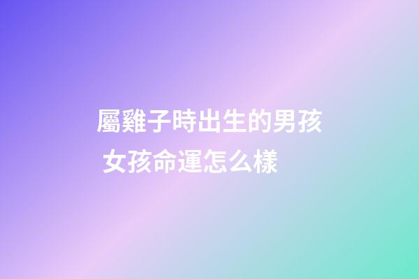 屬雞子時出生的男孩 女孩命運怎么樣